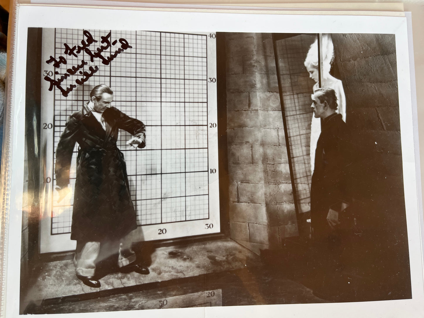 LUCILLE LUND, The Black Cat (1934), autograph