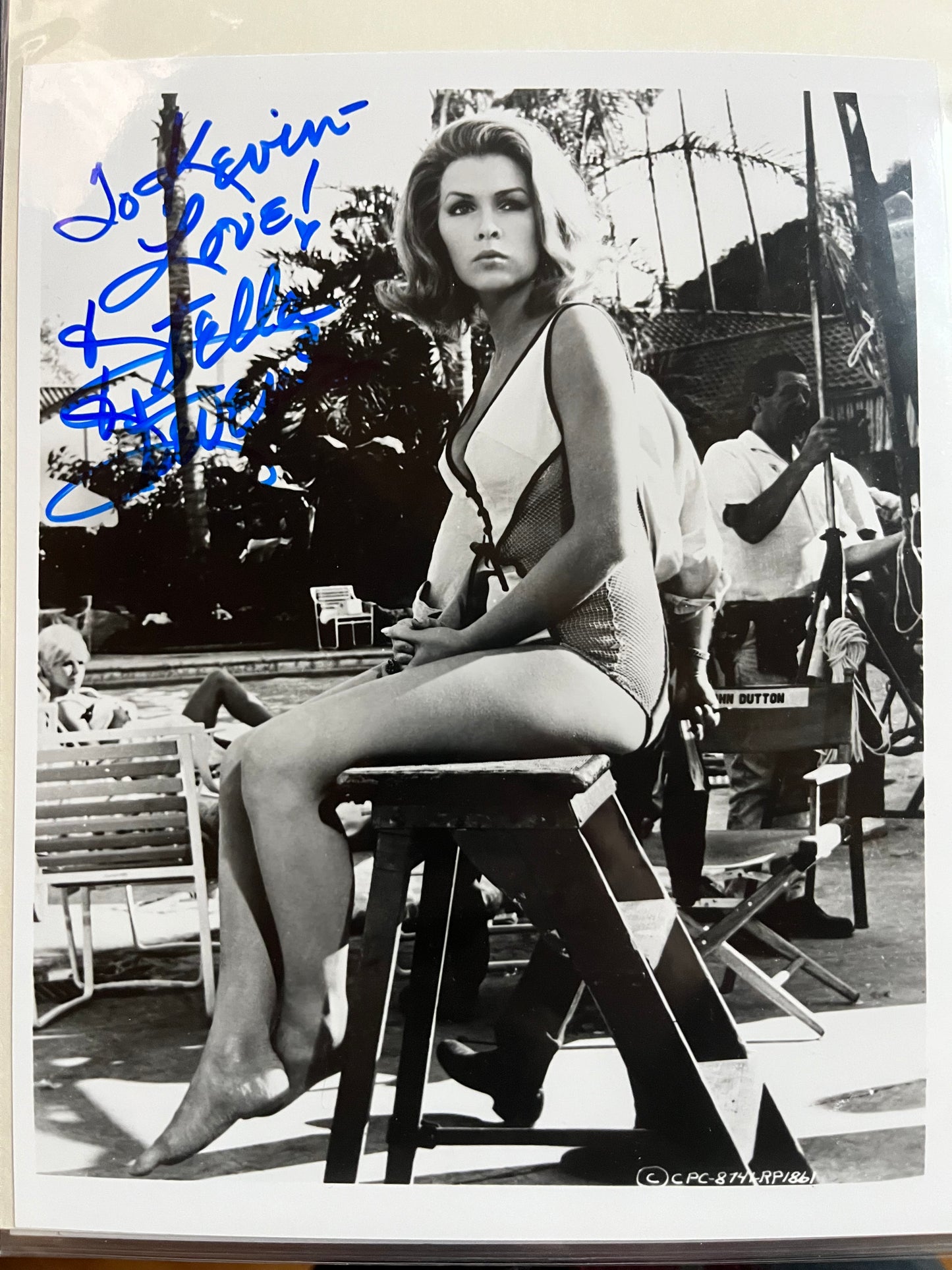 STELLA STEVENS, actress, autograph