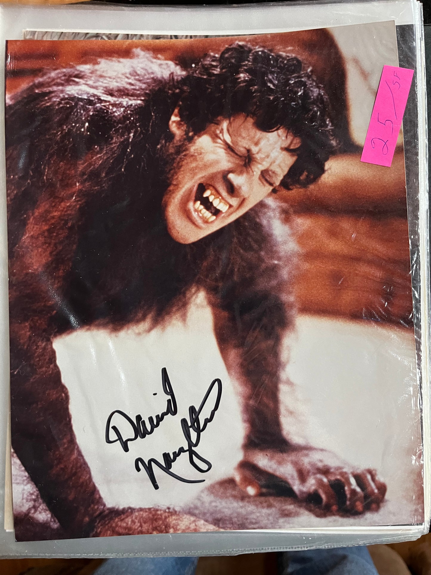 DAVID NAUGHTON, American Werewolf, autograph