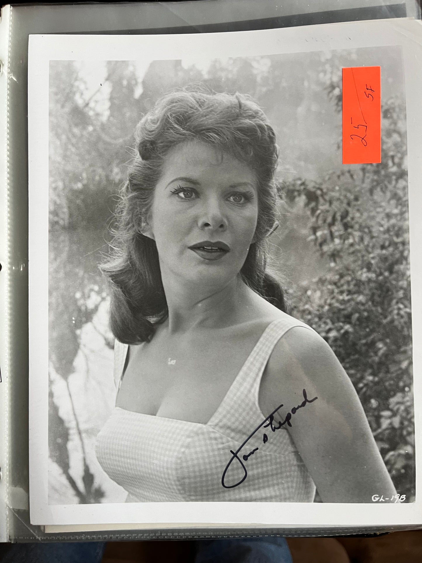 JOAN SHEPARD, autograph