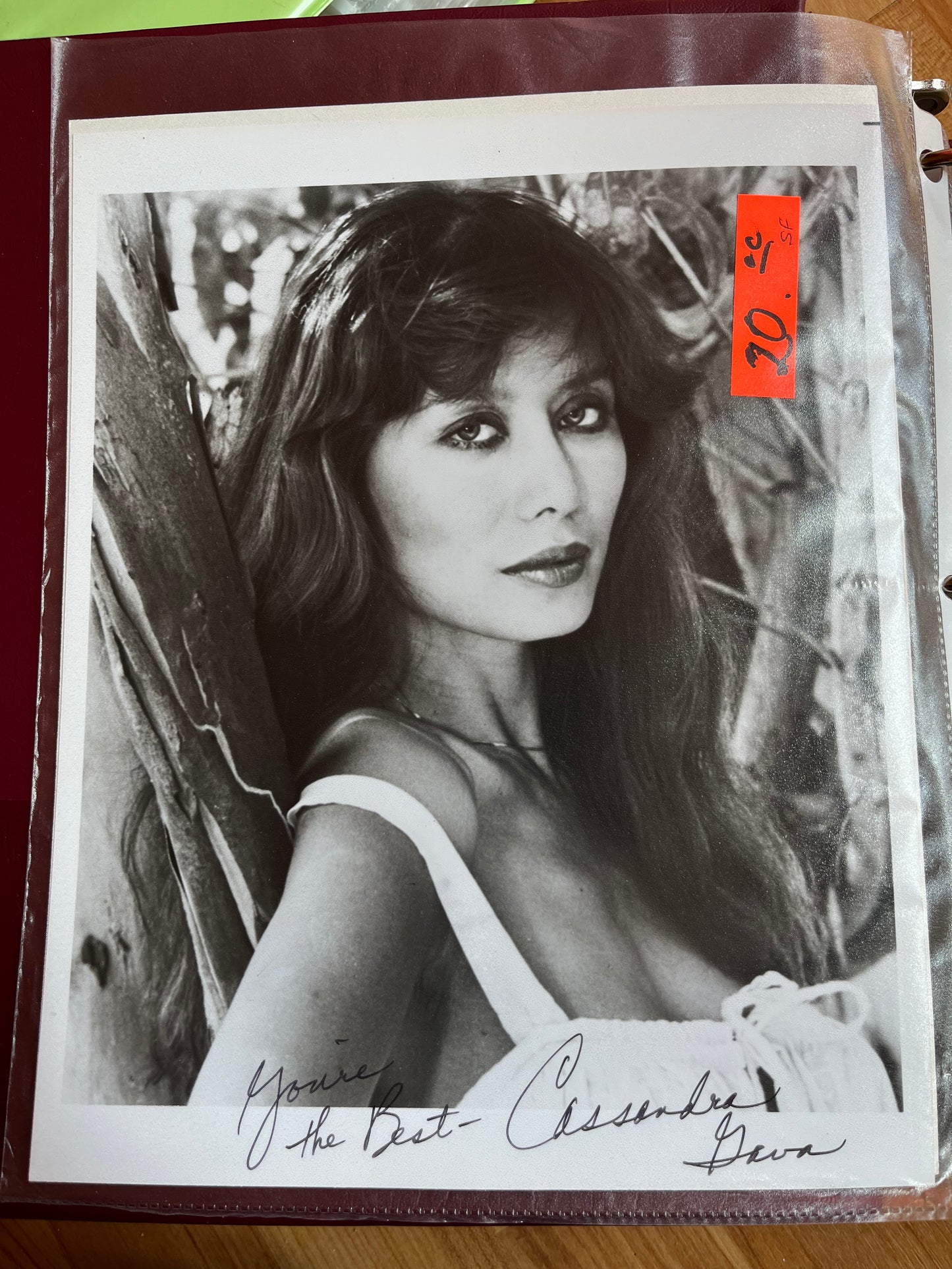 CASANDRA GAVA, autograph