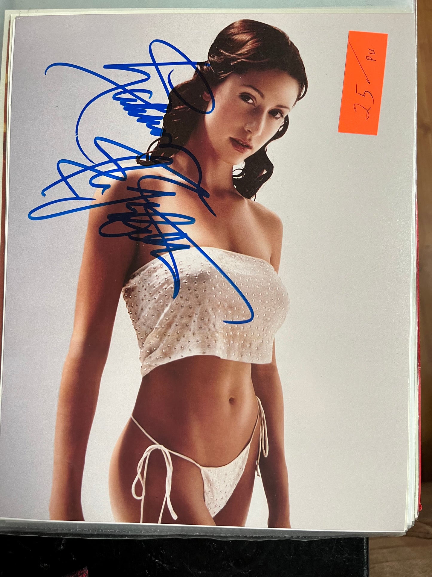 SHANNON ELIZABETH, autograph