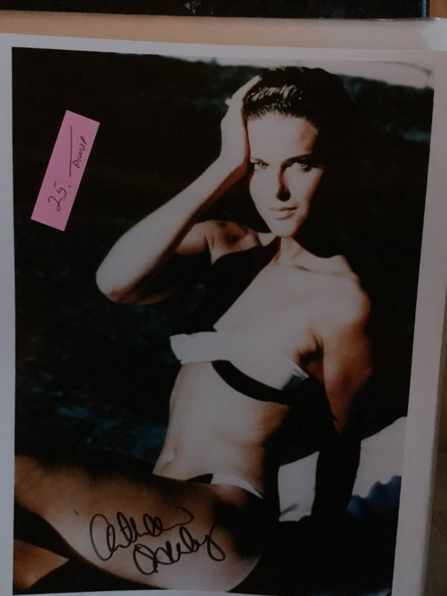 Catherine Oxenberg, DYNASTY, autograph