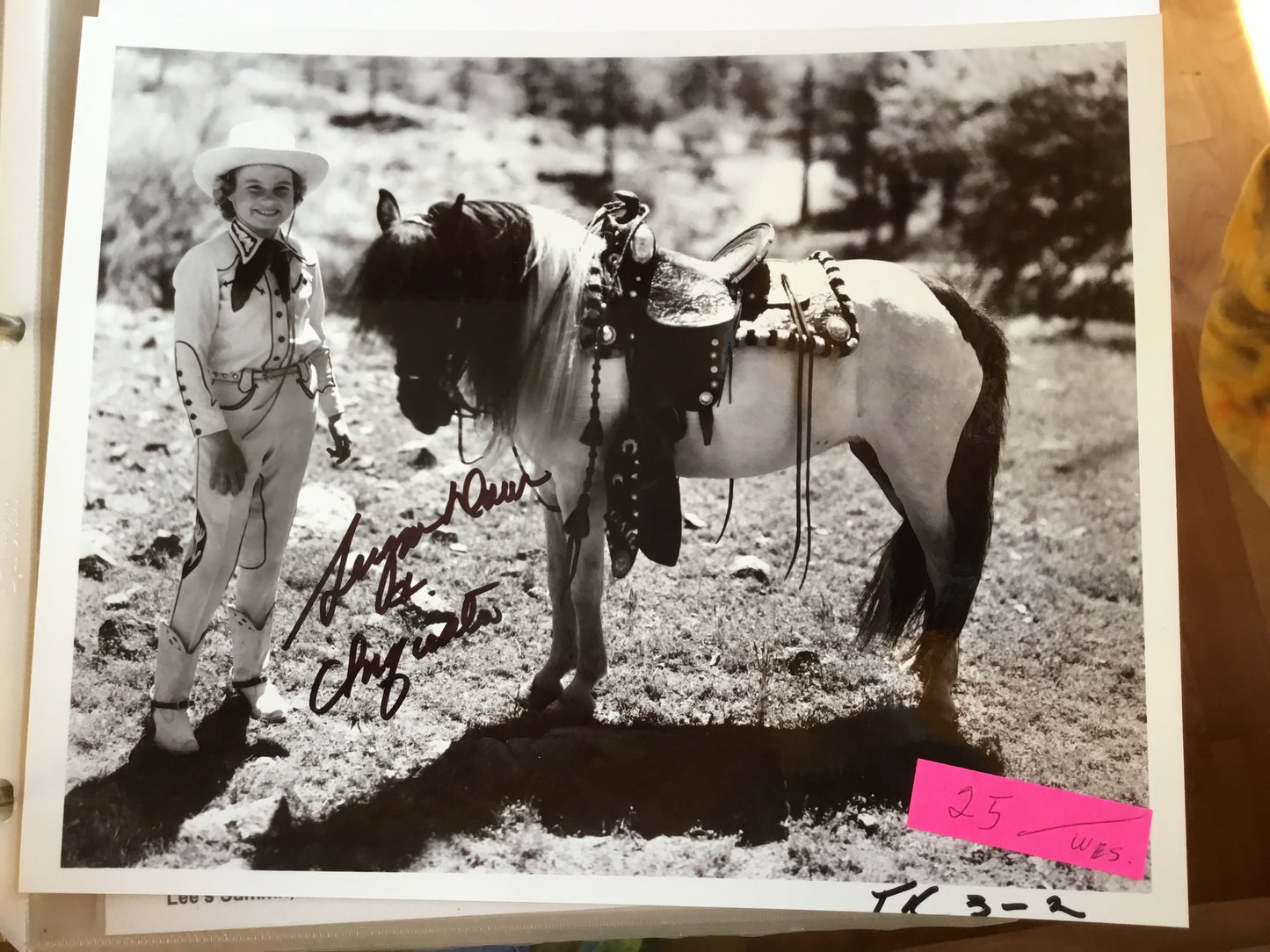 SUGAR DAWN, autograph