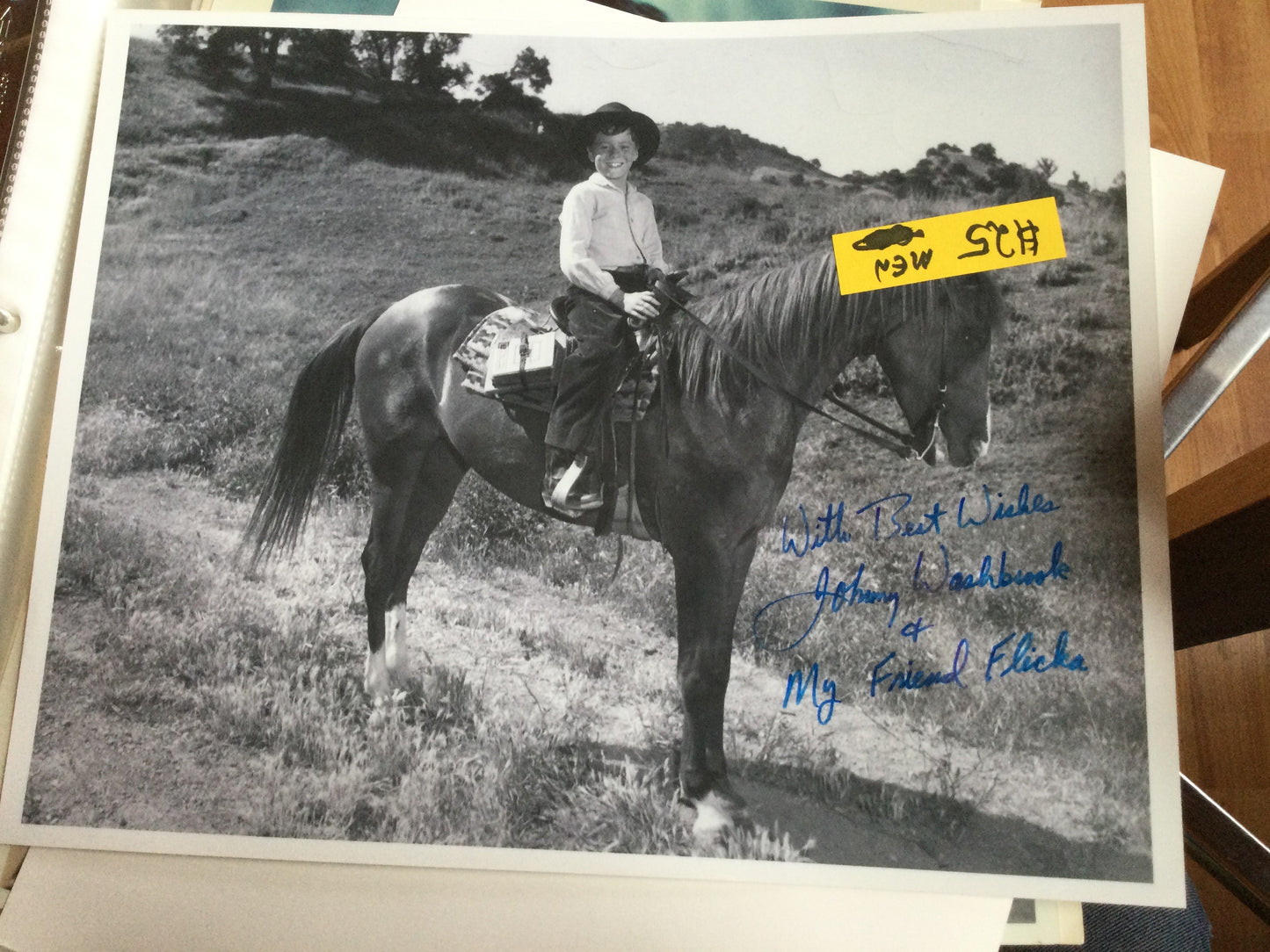 JOHNNY WASHBROOK, My Friend Flicka, autograph