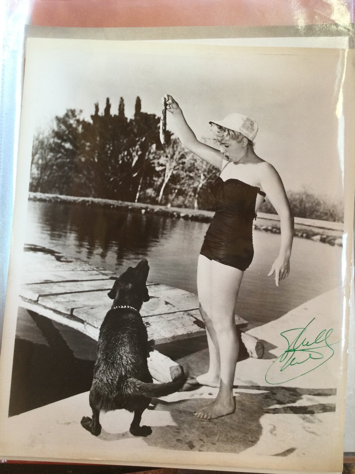 SHELLEY WINTERS, autograph