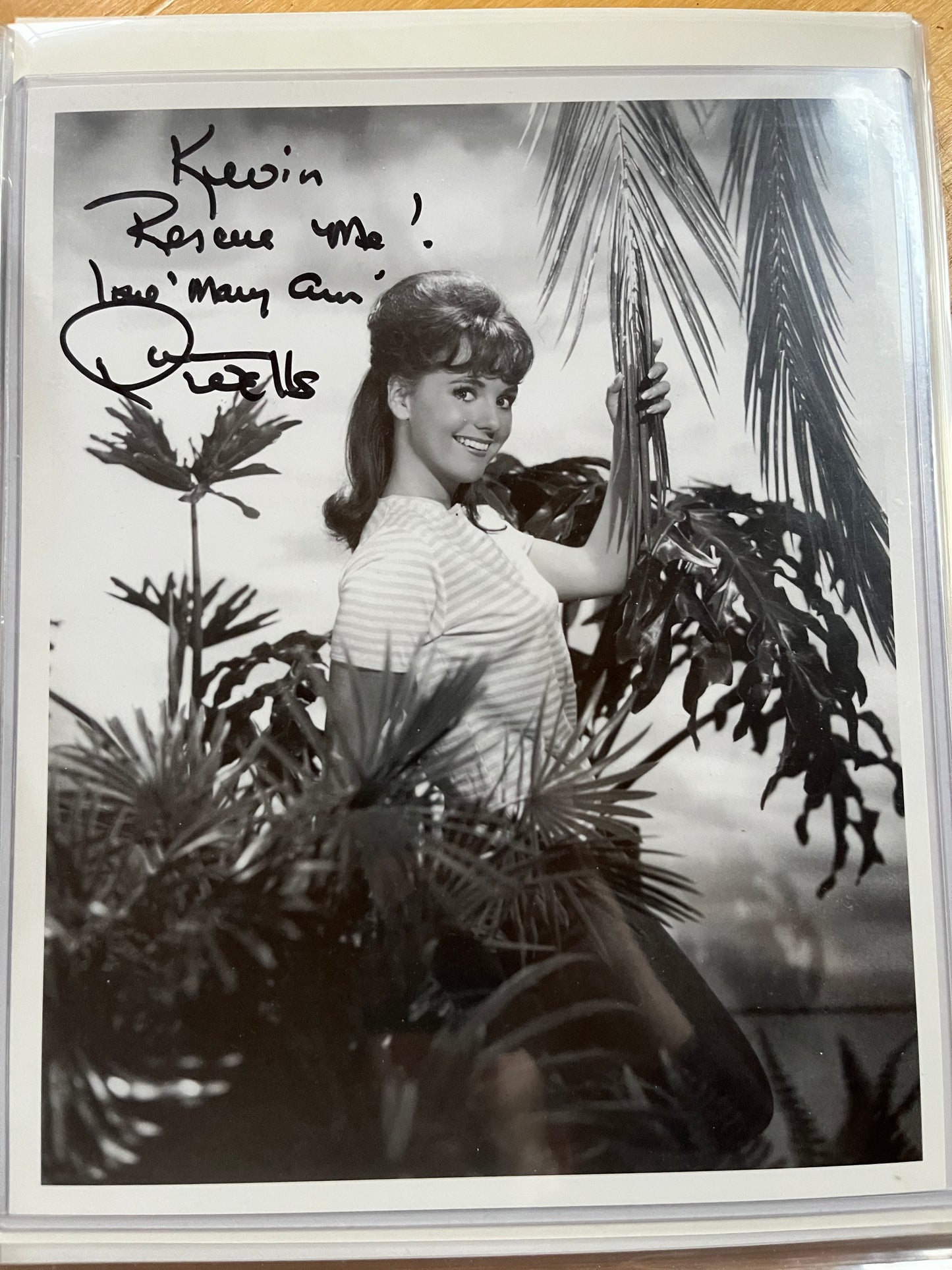 DAWN WELLS, Mary Ann on GILLIGAN'S ISLAND, autograph