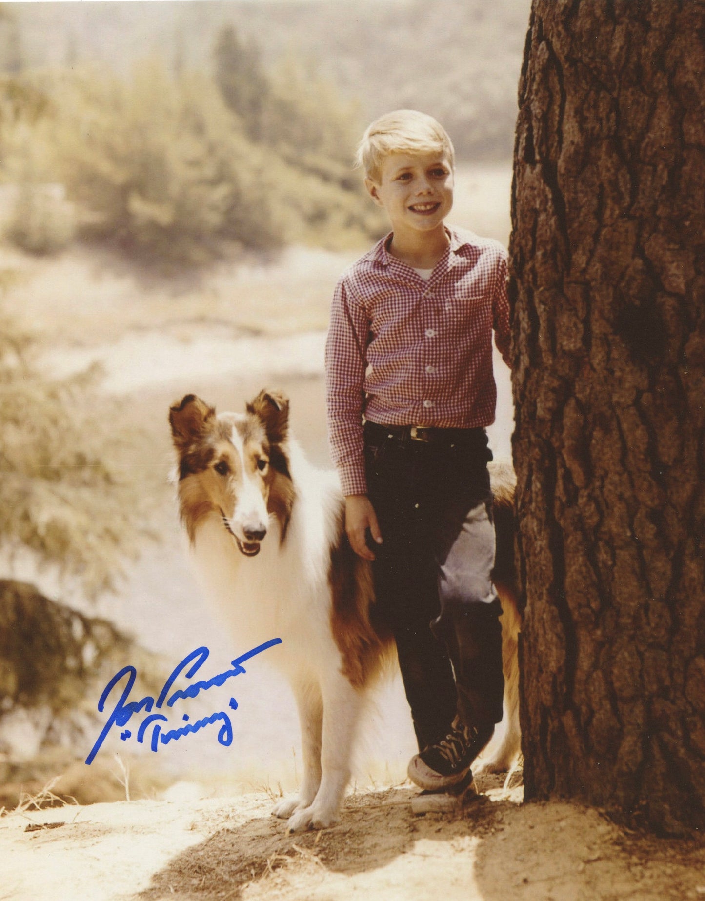 JON PROVOST, Timmy from television's LASSIE (Autographed Photo)